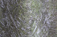 Meanwood fibreglass roof work